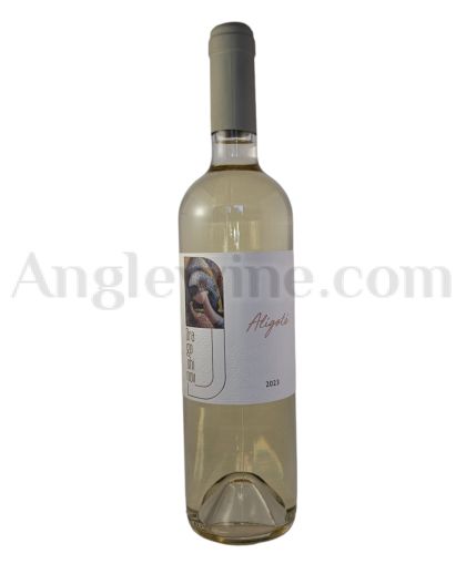 ДРАГОШИНОВ АЛИГОТЕ 2023