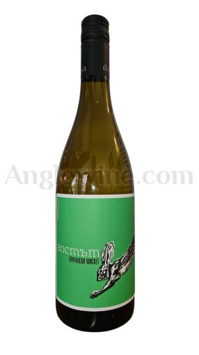 DEVINA THE GUEST VRACHANSKI MISKET 2024