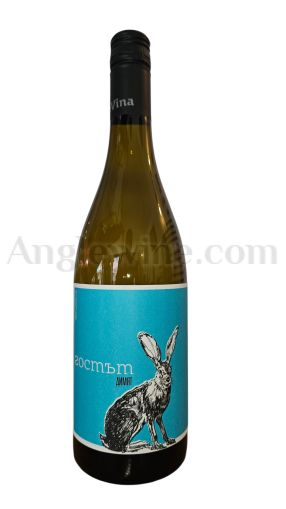 ДЕВИНА ГОСТЪТ ДИМЯТ 2024