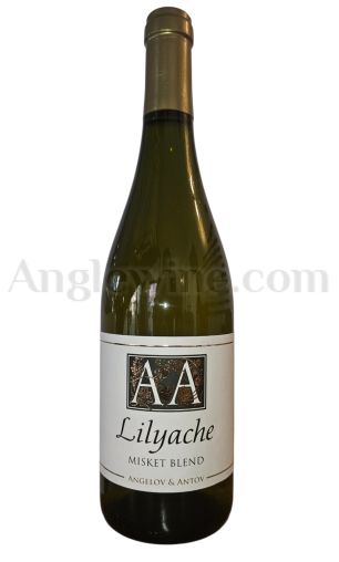 LILYACHE MISKET BLEND 2024