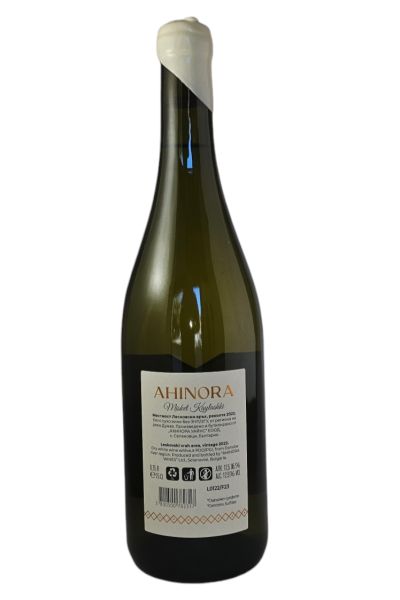 AHINORA MISKET KAYLUSHKI 2023