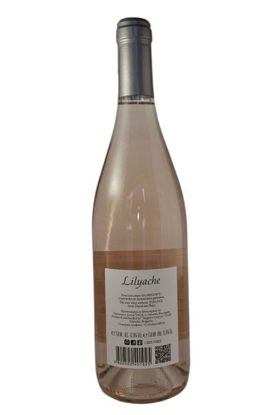 LILYACHE ROSE CINSAULT 2023