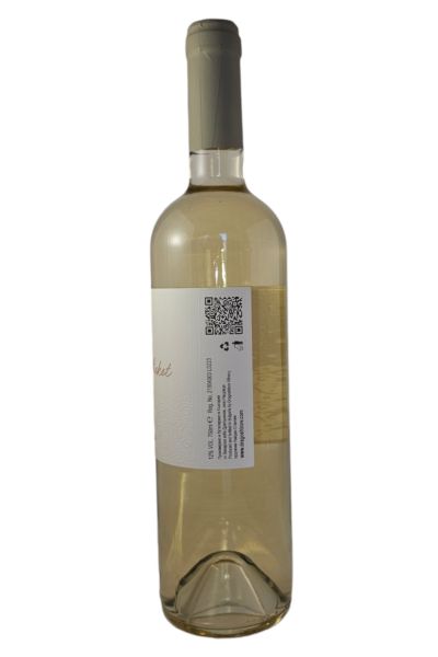 DRAGOSHINOV RED MISKET 2023