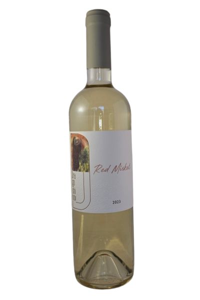 DRAGOSHINOV RED MISKET 2023