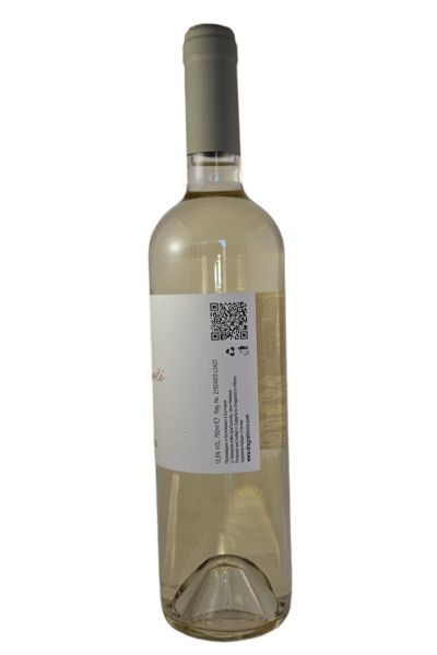 DRAGOSHINOV ALIGOTE 2023