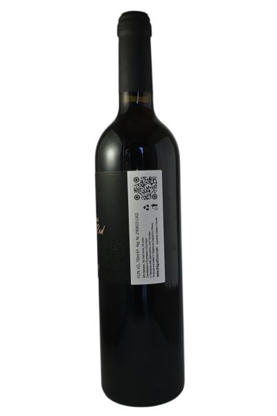 DRAGOSHINOV SENSE OF RED 2022