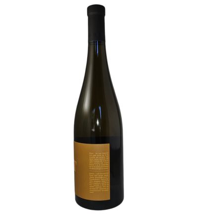 БОНОНИЯ ЕСТЕЙТ ДИМЯТ 2022