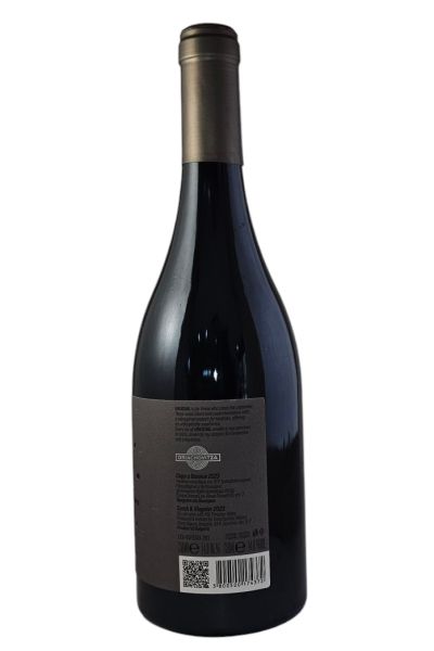 ORYAHOVITZA UNUSUAL 2023