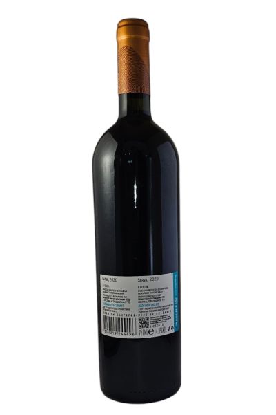 DRAGOMIR SARVA RUBIN 2020