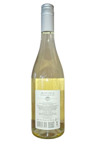 JARAVA VARNENSKI MISKET 2023