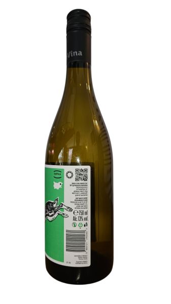 DEVINA THE GUEST VRACHANSKI MISKET 2024